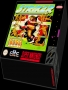 Nintendo  SNES&nbsp; - &nbsp;World Cup Striker (Europe)
